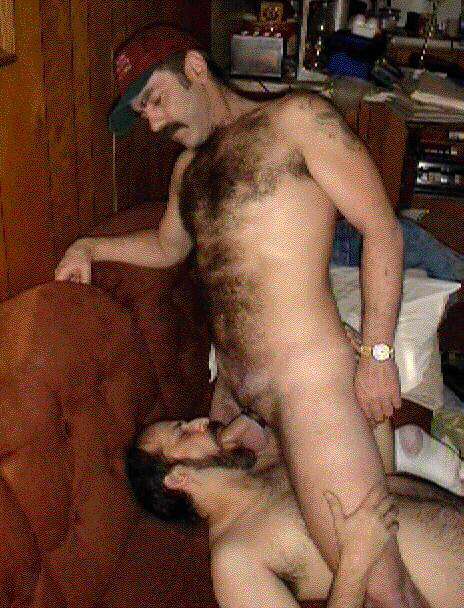 Featured bear
