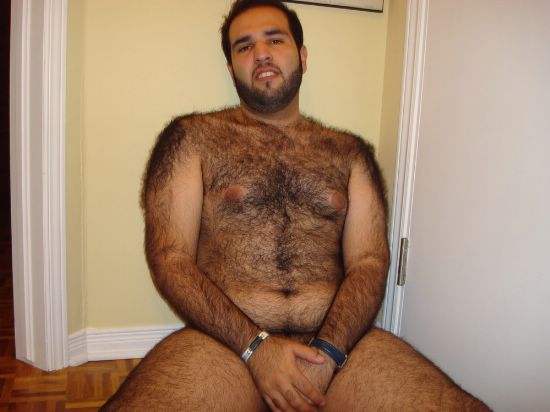 Featured bear