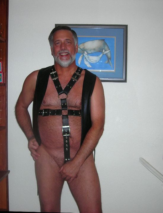 Featured bear