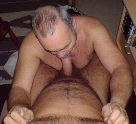 Featured bear