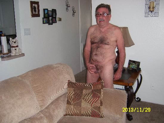 Featured bear