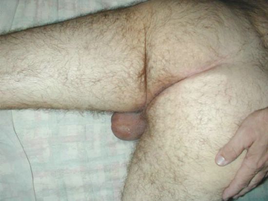 Featured bear