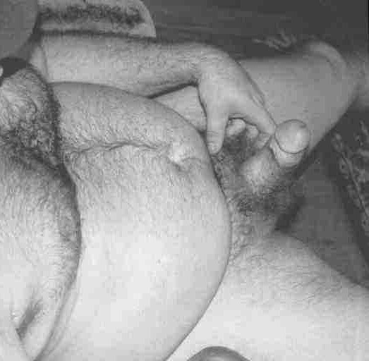 Featured bear
