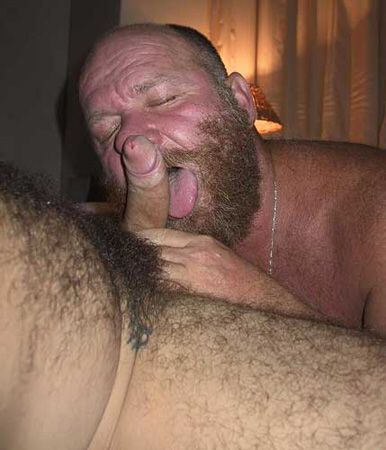 Featured bear