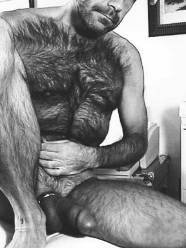 Featured bear