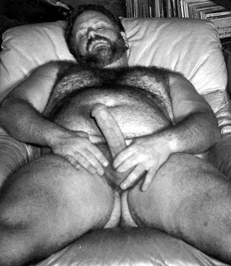 Featured bear