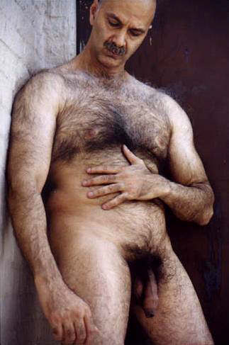 Featured bear