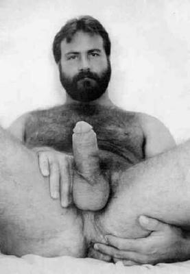 Featured bear