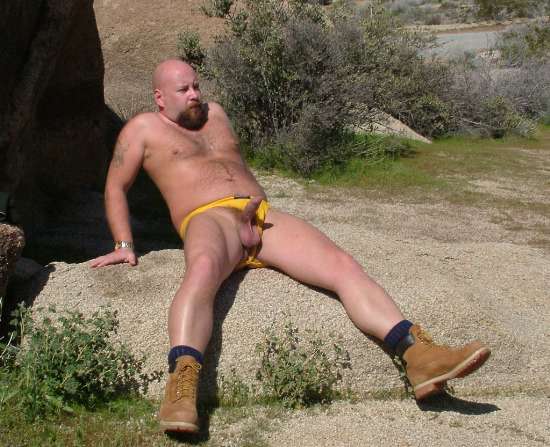 Featured bear