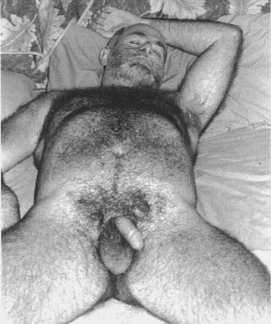 Featured bear