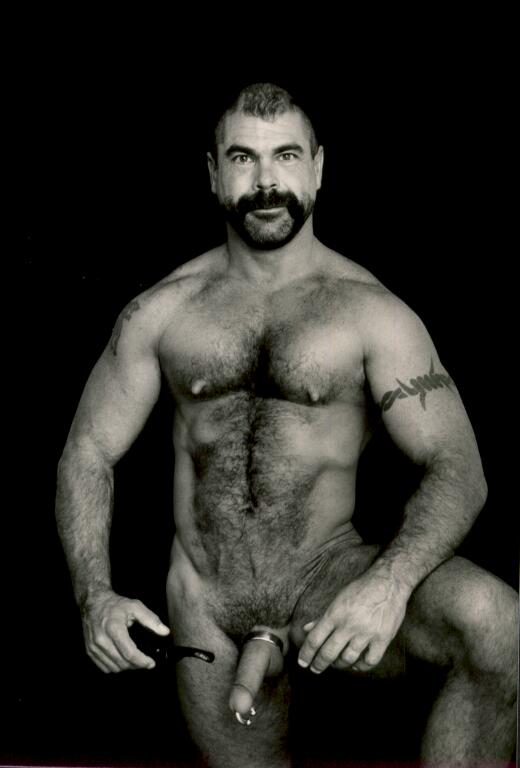 Featured bear