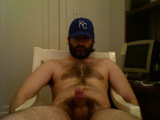Featured bear