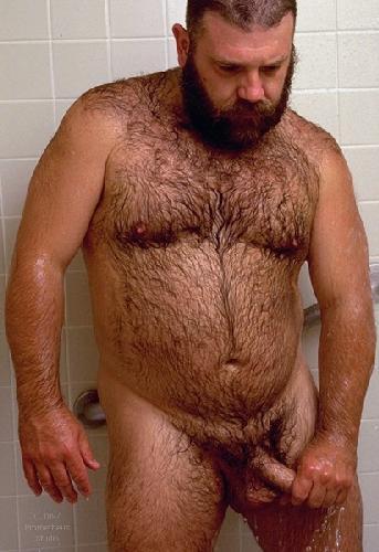 Featured bear