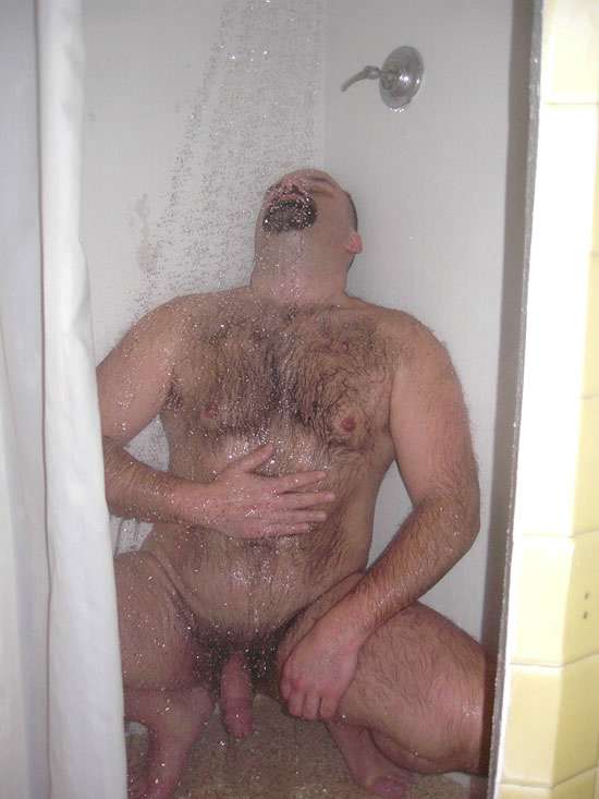 Featured bear
