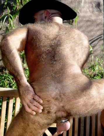 Featured bear