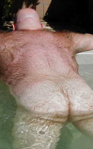 Featured bear