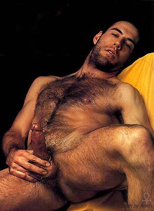 Featured bear