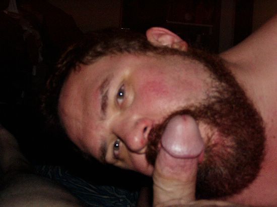 Featured bear