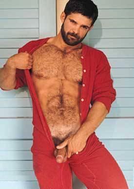 Featured bear