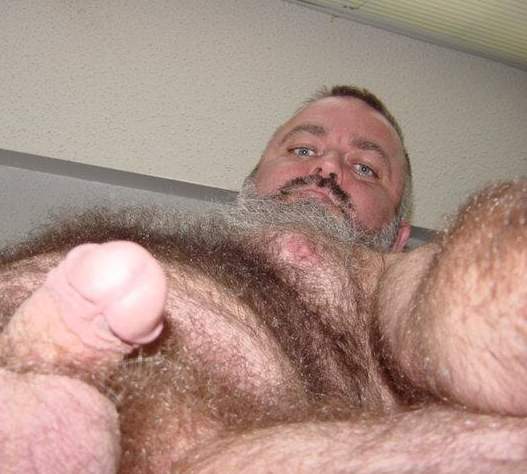 Featured bear