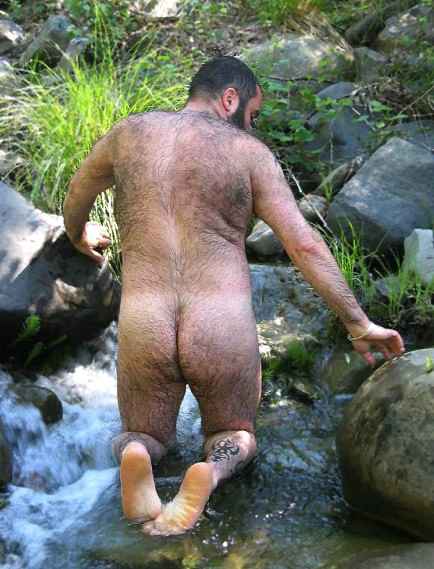 Featured bear