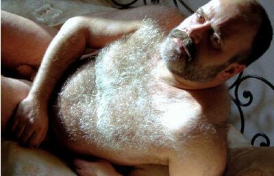 Featured bear