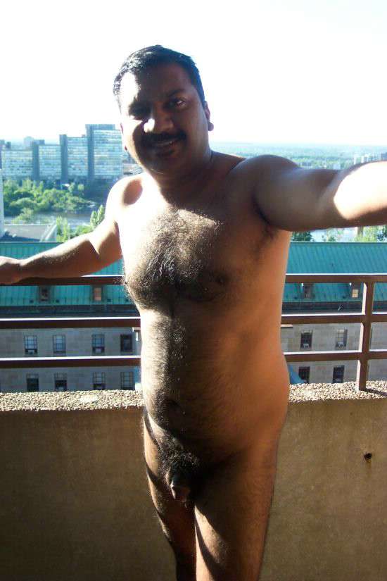 Featured bear