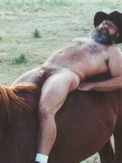 Featured bear