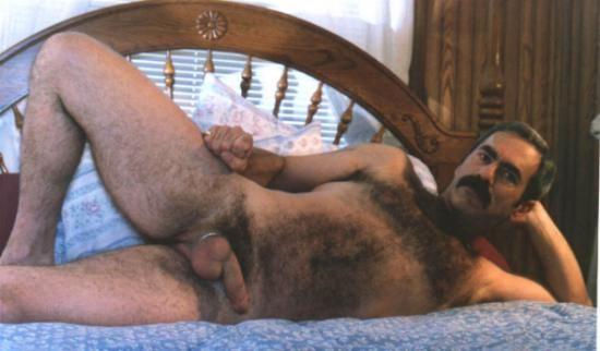 Featured bear