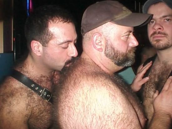 Featured bear