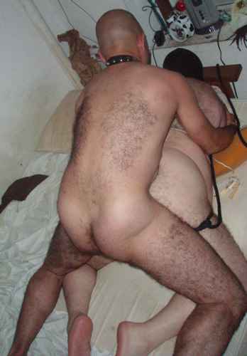 Featured bear