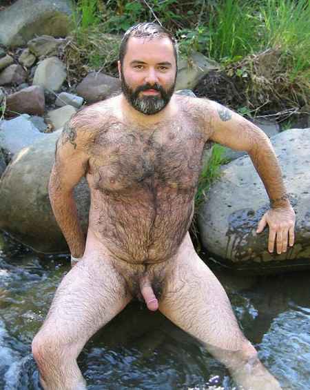 Featured bear