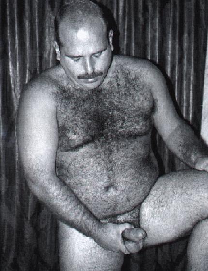 Featured bear