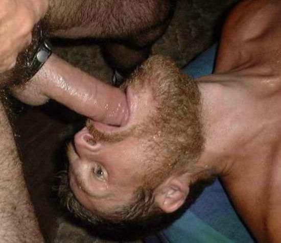 Featured bear
