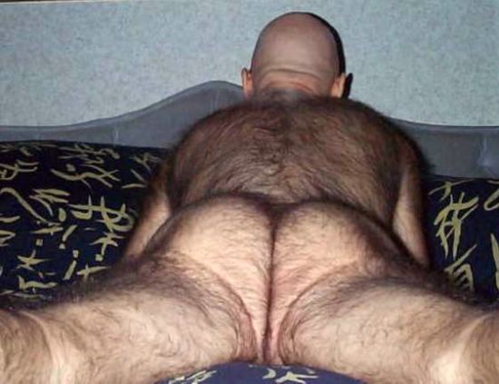 Featured bear
