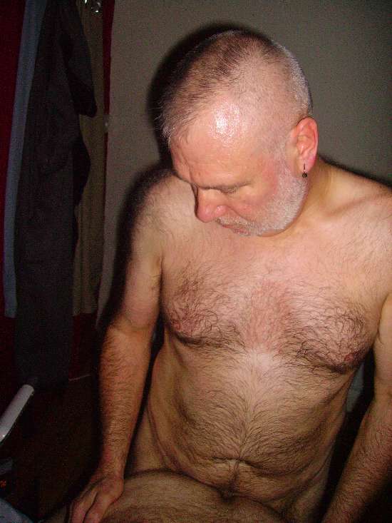Featured bear