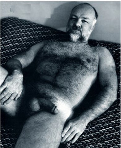 Featured bear