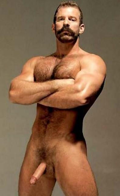 Featured bear