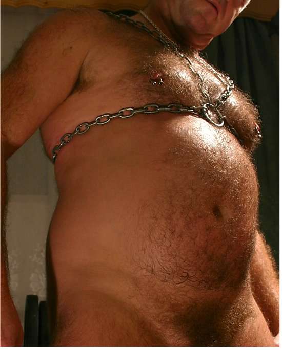 Featured bear