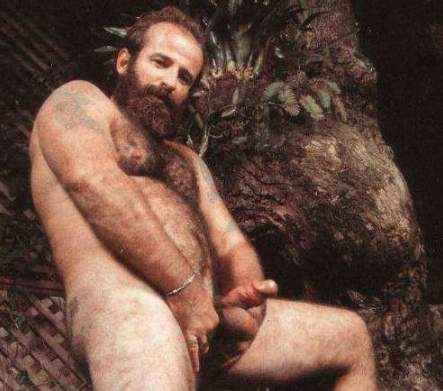 Featured bear