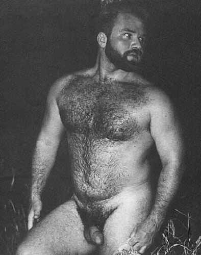 Featured bear