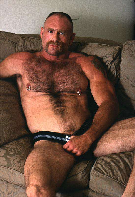 Featured bear