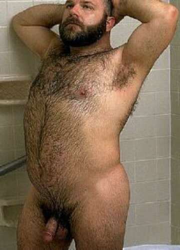Featured bear