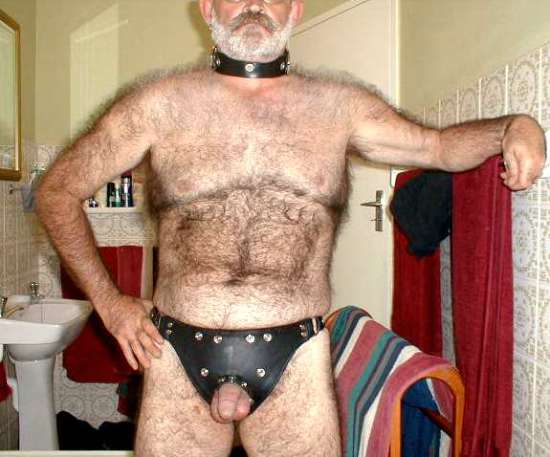 Featured bear