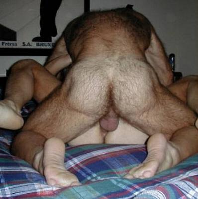 Featured bear