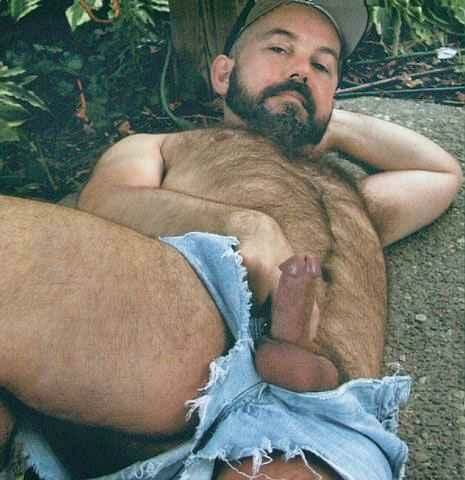 Featured bear