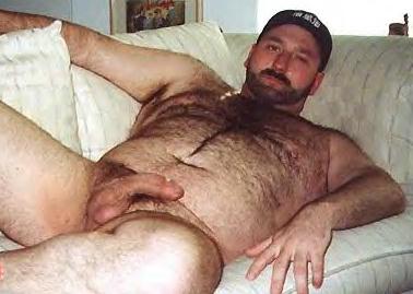 Featured bear