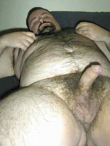 Featured bear