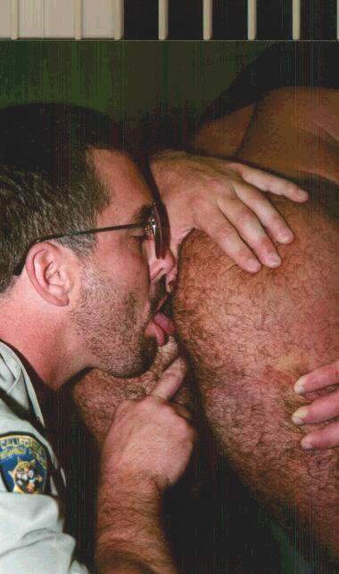 Featured bear