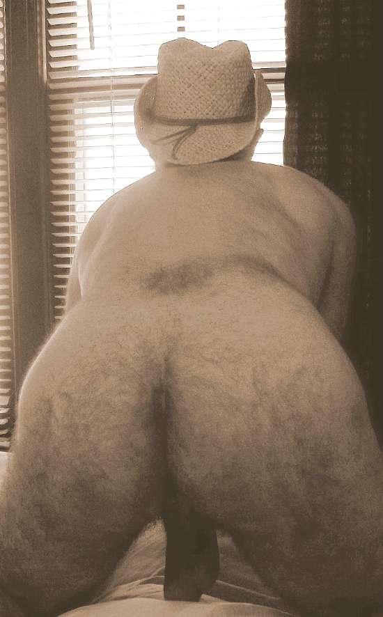 Featured bear